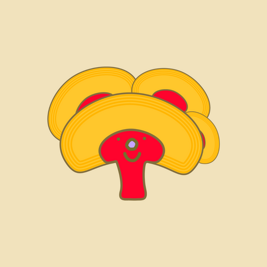 GANODERMA LUCIDUM PARA NIÑOS 🍄