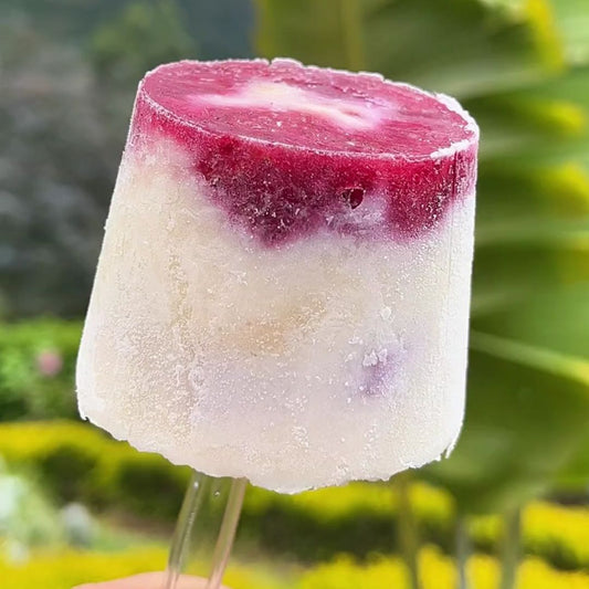 HELADO DE VAINILLA DELICIOSO Y SIN AZÚCAR AÑADIDA 🍦