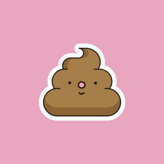 UNA GUÍA DEL POPÓ EN NIÑOS 💩