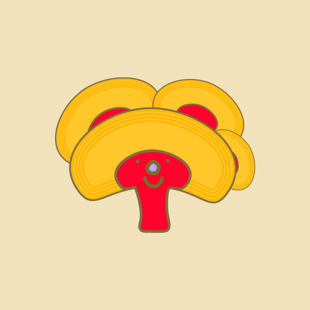 GANODERMA LUCIDUM PARA NIÑOS 🍄